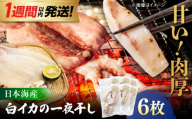 【1週間以内発送】白イカ 一夜干し 6枚セット 島根県松江市/有限会社ヤマヲ水産 [ALDB027] ｜真イカ 一夜干し イカ 大きい 肉厚 烏賊 干物 魚介 イカ一夜干し 真いか一夜干し イカ干物 真いか いか おかず おつまみ 島根県 日本海