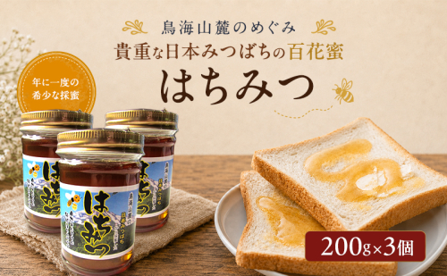 日本みつばちのはちみつ 百花蜜 3個セット 200g×3個 ( 蜂蜜 国産 ) はちみつ ハチミツ 秋田県 にかほ 2735381 - 秋田県にかほ市
