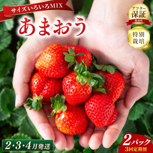 いちご 福岡県産 特別栽培 あまおう サイズいろいろMIX 約570g（約285g×2パック）【3回定期便（2～4月発送）】 2735433 - 福岡県篠栗町