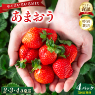 いちご 福岡県産 特別栽培 あまおう サイズいろいろMIX 約1140g（約285g×4パック）【3回定期便（2～4月発送）】