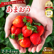 いちご 福岡県産 特別栽培 あまおう サイズいろいろMIX 約1425g（約285g×5パック）【3回定期便（2～4月発送）】