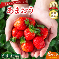 いちご 福岡県産 特別栽培 あまおう サイズいろいろMIX 約1710g（約285g×6パック）【3回定期便（2～4月発送）】