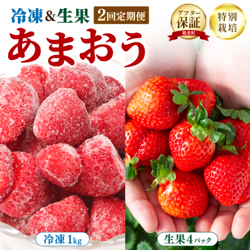 福岡県産 特別栽培 あまおう 冷凍あまおう1kg 生果サイズいろいろMIX 約1140g（約285g×4パック） 2735484 - 福岡県篠栗町