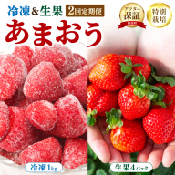 福岡県産 特別栽培 あまおう 冷凍あまおう1kg 生果サイズいろいろMIX 約1140g（約285g×4パック）