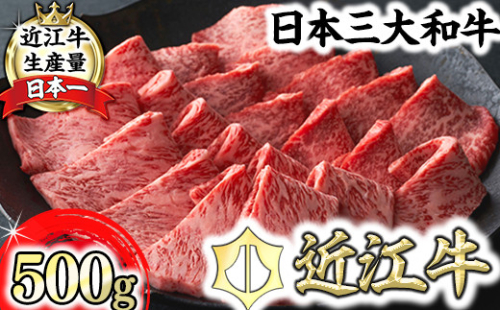 【一週間以内発送】【寛閑観】近江牛焼肉用『霜降り×赤身ミックス』500g（冷蔵）【FR23W】 2735647 - 滋賀県近江八幡市