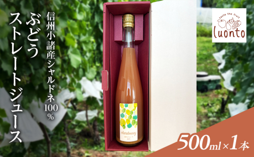 信州小諸産シャルドネ100% ぶどうストレートジュース　500ml×1本 2735676 - 長野県小諸市