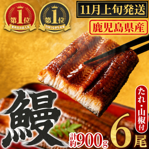 【0304349a-2611】＜11月上旬発送予定＞東串良町のうなぎ蒲焼(無頭)(6尾・計約900g・タレ、山椒付) うなぎ 高級 ウナギ 鰻 国産 蒲焼 蒲焼き たれ 鹿児島 ふるさと 人気 【アクアおおすみ】 2735682 - 鹿児島県東串良町