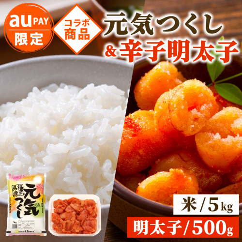 お米 精米 令和7年産　福岡県産元気つくし5kg &訳あり！博多の味本舗の辛子明太子（切れ子）500g【無着色】 2735928 - 福岡県篠栗町