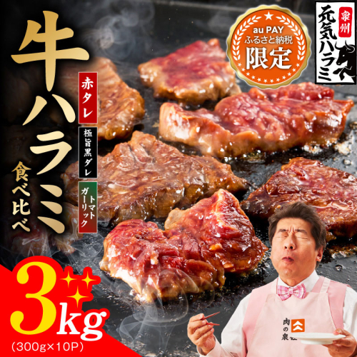 【三太郎の日限定】牛ハラミ肉 3kg（300g×10P）【3種食べ比べ 牛肉 はらみ 小分け 焼肉 お弁当 BBQ 訳あり ワケアリ わけあり サイズ不揃い 規格外 TVで話題】 G4695a 2735945 - 大阪府泉佐野市