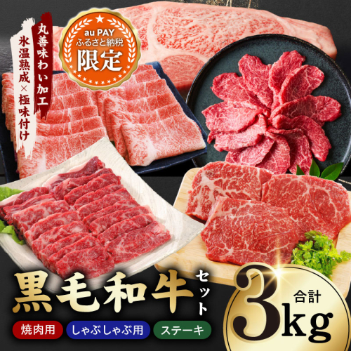【三太郎の日限定】黒毛和牛セット  合計3kg【氷温熟成×極味付け 小分け 焼肉 しゃぶしゃぶ ステーキ 簡単調理 BBQ 牛肉 黒毛和牛 味付き】 mrz0504a 2735949 - 大阪府泉佐野市