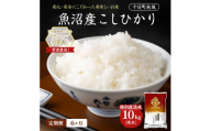 【令和8年産 先行予約】【6ヶ月定期便】特別栽培米 魚沼産こしひかり(十日町地域) 精米 10kg(5kg×2) 米 お米 コシヒカリ 定期 十日町市