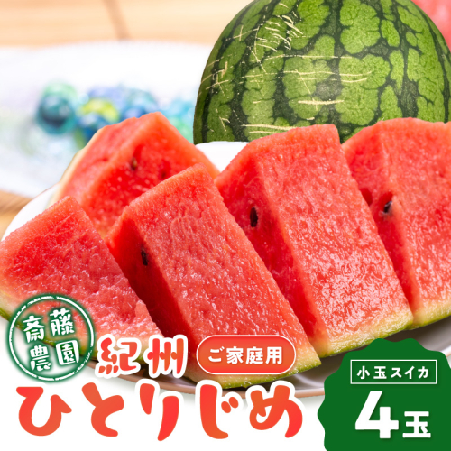 ≪家庭用≫紀州ひとりじめ(小玉スイカ) 4玉（M～Lサイズ） 6kg程度 【配送不可地域：北海道・青森・秋田・岩手・沖縄・離島】 2736943 - 和歌山県御坊市