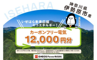 伊勢原市産 カーボンフリー電気 12,000円分【申込条件を要確認】※お1人様1口のみ｜電気料金 電気代 エネルギー 神奈川県 ふるさと でんき [1095]