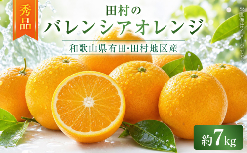 【2027年先行予約】秀品　田村のバレンシアオレンジ　約7kg_G7376 2737146 - 和歌山県湯浅町