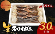 【選べる出荷日】生 ズワイガニ 5Lサイズ 3kg (6～9肩) 詰め合わせ セット 蟹 カニ かに 生ズワイガニ 冷凍 生蟹 カニ足 かにしゃぶ 焼きカニ 蟹鍋 BBQ 海の幸 魚介 魚介類 海鮮 大阪 大阪府 岸和田市 12.18発送