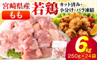 ＜2026年9月発送＞小分け＆パラパラ！宮崎県産鶏ももカット合計6kg 肉 お肉 鶏肉 鶏 パック 精肉 鶏モモ もも肉 小分け 鳥肉 宮崎県産 人気 贈り物 おすそ分け 宮崎県 串間市 _K043-003-2609