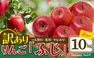 [先行予約]期間・数量限定[陽気な母さんの店]R8年産「訳ありふじ」(10kg)95P3403 / 東北 秋田 大館 リンゴ 林檎 果物 フルーツ 東北 秋田 大館 りんご ふじ フジ ジューシー 果汁 おいしい 農家直送 10kg わけあり ワケアリ 訳あり 訳アリ つる割れ ツルワレ ツル割れ サビ さび 日焼け 変形 小玉 バックアップ