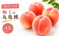 2027年発送 桃 6月下旬より発送 極上の丸亀桃 約1.2kg 丸亀桃 国産桃 完熟桃 旬 新鮮 厳選 フルーツ 果物 人気 家庭用 香川県 丸亀市 早期予約
