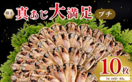 藤文の「真あじ大満足プチ」 真あじ 真アジ 鯵 10枚 干物 ひもの 冷凍 西伊豆 伊豆 ギフト お歳暮 お中元
