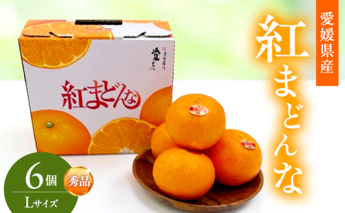 紅まどんな 秀品 Lサイズ 6個 果物 フルーツ 柑橘 柑橘類 国産 愛媛 2738601 - 愛媛県東温市