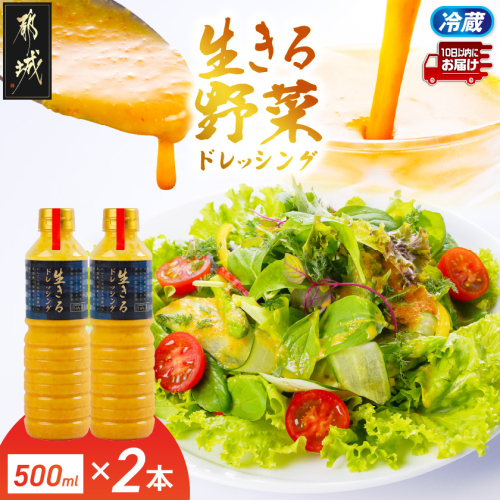 肉や野菜に!生きる野菜ドレッシングソース 500ml×2本≪みやこんじょ特急便≫〔E4-001-500ml-2-Q〕 2738650 - 宮崎県都城市