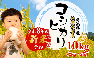 [先行予約] コシヒカリ10kg 白米 特別栽培米 (2kg×5袋) 令和8年産 白米 米 こしひかり こめ 大粒 ごはん おにぎり お弁当 農家直送 産地直送 ふるさと納税 姉﨑農園 新潟産 新潟県 新発田市 anezaki013