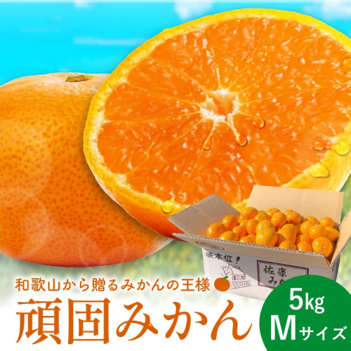 和歌山県天田のこだわり頑固みかん 5kg Mサイズ 2738706 - 和歌山県御坊市