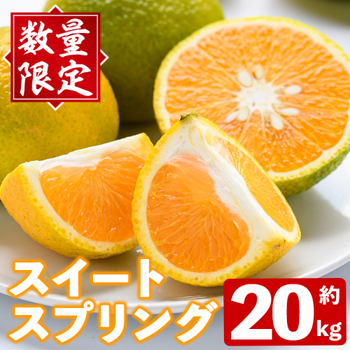 ＜先行予約受付中！2026年12月下旬以降順次発送予定＞秀品！スイートスプリング(約20kg) 国産 鹿児島県産 阿久根市産 柑橘類 みかん ミカン 果物 フルーツ デザート スイスプ 数量限定 期間限定 【有限会社まなべみかん園】akn034-16 2738707 - 鹿児島県阿久根市