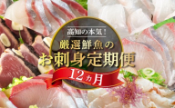 [冷凍便] 厳選! 12カ月 お楽しみ 定期便 刺身 定期便 小島水産 がお届けする! 美味しい お刺身 1年 一年 全12回 12か月 12カ月 コース 冷蔵 れいとう 鮮魚 海鮮 下処理済 産地直送 新鮮 鰤 ブリ 勘八 カンパチ 鯛 真鯛 タイ かつおのタタキ 鰹 カツオ 鰹のたたき 縞鯵 シマアジ 高知県 須崎市 魚介類 定期便 刺身定期便 肉より魚 旬の鮮魚