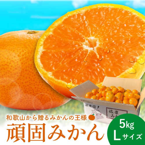 和歌山県天田のこだわり頑固みかん 5kg Lサイズ 2738909 - 和歌山県御坊市