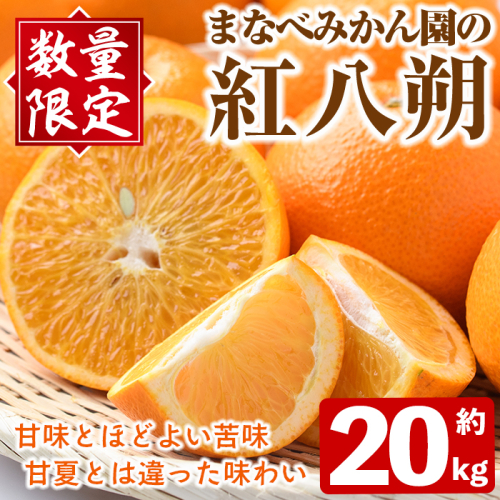 ＜先行予約受付中！2027年2月上旬以降順次発送予定＞まなべみかん園の紅八朔(約20kg) 国産 鹿児島県産 阿久根市産 柑橘類 果物 フルーツ べにはっさく 期間限定 数量限定 贈答用 ギフト デザート 【有限会社まなべみかん園】akn034-18 2738910 - 鹿児島県阿久根市