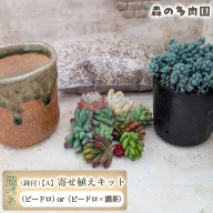 【届いてすぐ楽しめる！】多肉を育ててみたい方へのセット商品寄せ植えキット（鉢付）【A】 ・苗・土・伊賀焼オリジナル陶器鉢2.5号 1セット 多肉植物 家庭菜園 伊賀焼 陶器鉢 土 苗 初心者 簡単 色鮮やか 三重県 名張市