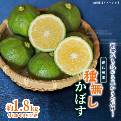 【令和8年9月発送】朝霧立ち込める里からお届け！徳丸農園 種無しかぼす約1.8kg_2177R 2738980 - 大分県国東市