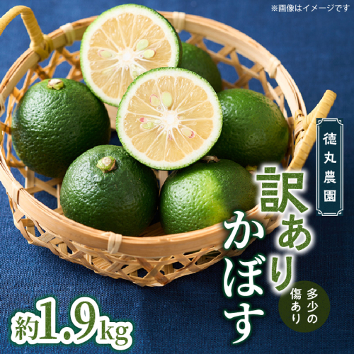 【訳あり】多少の傷あり 徳丸農園かぼす約1.9kg_2265R 2738981 - 大分県国東市