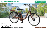 360-006 ビューアシスト 2026モデル（丸石サイクル）ブロンズ YSKR116-BRZ