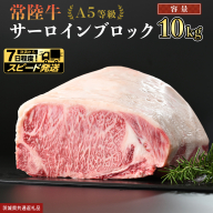 【 スピード発送 】【 常陸牛 】 A5等級 サーロイン ブロック 10kg (茨城県共通返礼品) 国産 ステーキ 焼き肉 ブロック肉 牛肉 やきにく ヒタチギュウ ひたちぎゅう ブランド牛肉 ブランド牛 国産牛 黒毛和牛 和牛 国産黒毛和牛 お肉 A5ランク [BX125-NT-sp]