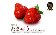 【2027年1-2月発送】福岡県産 あまおう 約280g×5P 約1.4kg 冷蔵 小分け いちご 苺 イチゴ フルーツ 果物 スイーツ くだもの 冬 春 旬 福岡 九州 福岡県 川崎町 数量限定 期間限定 セムマーケティング