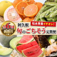 ＜定期便・全6回(偶数月)＞阿久根旬のごちそう定期便(ぼんたん・露地不知火・そら豆・南国グリーンメロン・大玉スイカ・伊勢海老) 国産 フルーツ 果物 柑橘 野菜 豆類 魚介 ボンタン 文旦 そらまめ すいか えび エビ 季節 訳あり 【松永青果】akn053-50