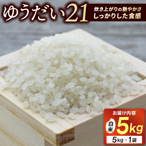 ＼新米 先行予約 9月中旬より順次発送予定／★令和8年産★ 米 5kg 白米 精米 「ゆうだい21」山崎観光農園 栃木県 益子町 ふるさと納税 お米 ゆうだい21 白米 精米 5キロ 高評価 令和8年 先行予約 (AU058) 2739396 - 栃木県益子町