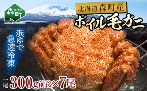 【訳あり】北海道・噴火湾産冷凍ボイル毛ガニ約300g前後×7尾 mr1-1432 2739430 - 北海道森町