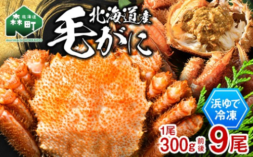 北海道産 冷凍ボイル毛ガニ 300g前後×9尾 mr1-1441 2739439 - 北海道森町