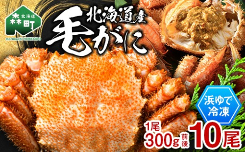 北海道産 冷凍ボイル毛ガニ 300g前後×10尾 mr1-1442 2739440 - 北海道森町
