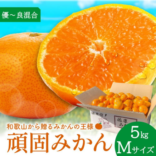 和歌山県天田の頑固みかん 5kg （優～良混合） Mサイズ 2739463 - 和歌山県御坊市