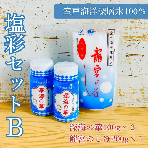 塩彩セット b 計400g 小分け 調味料 塩 塩分 熱中症対策 海洋深層水使用 天日塩 国産 結晶 うまみ バーベキュー BBQ キャンプ グランピング おにぎり 天ぷら フライドポテト 2739748 - 高知県室戸市