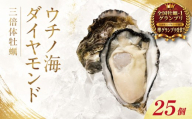 牡蠣 生食用 《全国牡蠣-1グランプリ 準グランプリ受賞！》 25個 生牡蠣 かき 生食 養殖 ブランド オイスター 貝 海鮮 鳴門 なると 徳島 三倍体牡蠣 ウチノ海ダイヤモンド