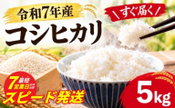 【スピード発送】【令和7年産】 コシヒカリ 5kg 令和7年産 お米 【最短3営業日発送】 白米 精米 ブランド米 令和7年産 米 お米 ライス オコメ コメ おにぎり おむすび 国産 弁当 おこめ ※ 送料無料 茨城県産 R7 5kg 米5kg 5キロ 2025年産 こしひかり 白飯 精米 茨城県 筑西市 関東 ファームオアシス prn006