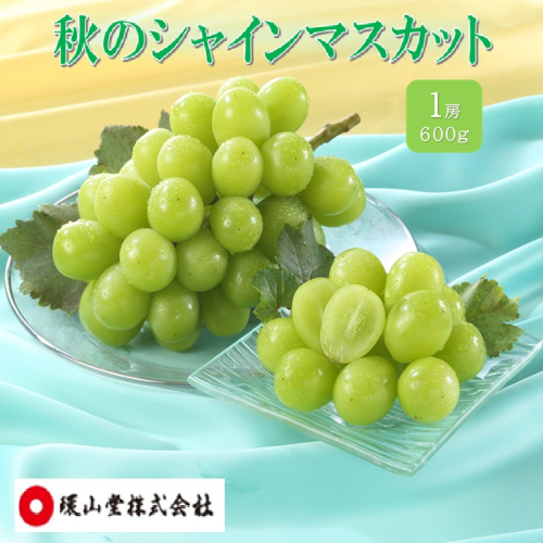 ぶどう 2026年 先行予約 秋のシャインマスカット 1房 600g ブドウ 葡萄 岡山県産 国産 フルーツ 果物 ギフト 環山堂 2740057 - 岡山県玉野市