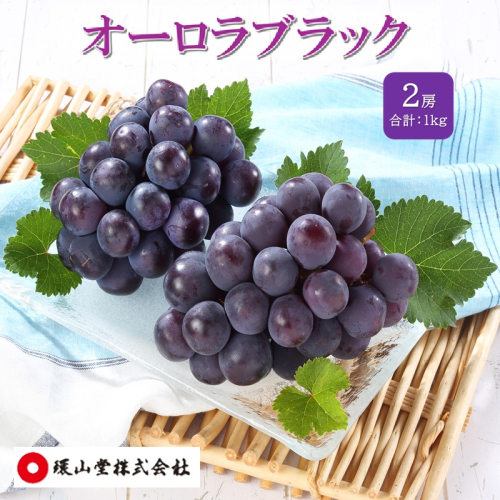 ぶどう 2027年 先行予約 オーロラブラック 2房 合計1.0kg ブドウ 葡萄 岡山県産 国産 フルーツ 果物 ギフト 環山堂 2740058 - 岡山県玉野市