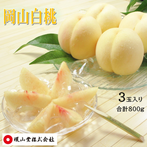 桃 2027年 先行予約 岡山白桃 3玉 合計800g もも モモ 岡山県産 国産 フルーツ 果物 ギフト 環山堂 2740059 - 岡山県玉野市
