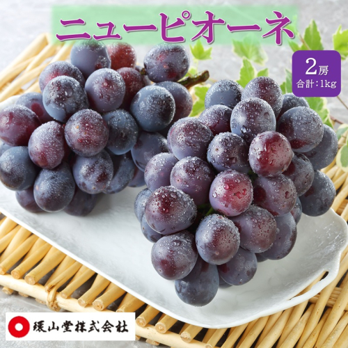 ぶどう 2027年 先行予約 秋のニューピオーネ 2房 合計1.0kg ブドウ 葡萄 岡山県産 国産 フルーツ 果物 ギフト 環山堂 2740061 - 岡山県玉野市